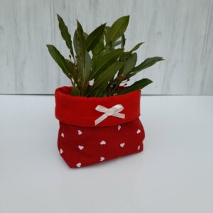 Panier plante